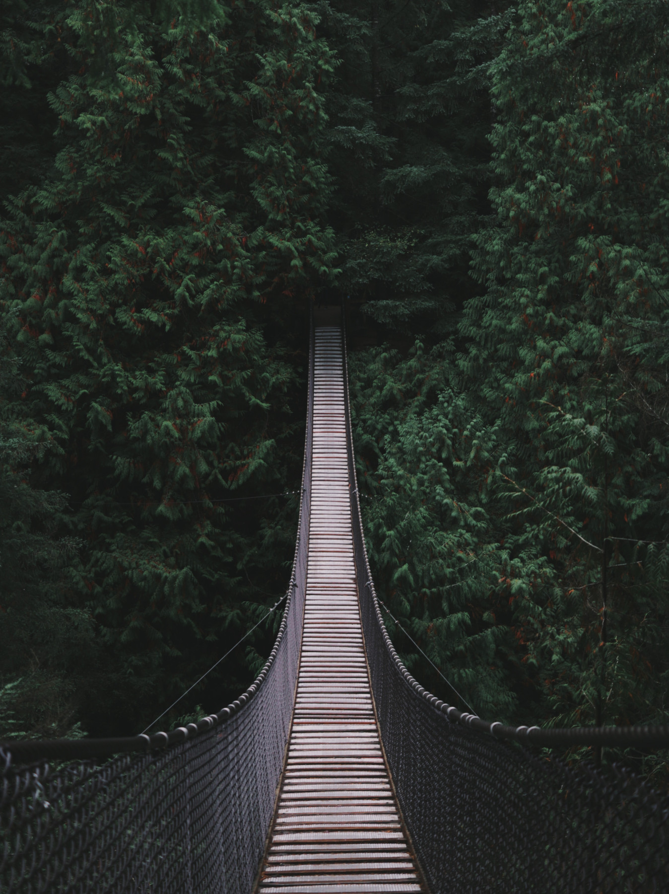 wooden bridge